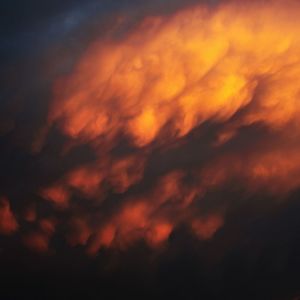 收聽Lumini的absent elsewhere歌詞歌曲