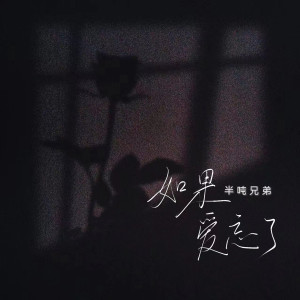 收聽半噸兄弟的如果愛忘了 (煙嗓版)歌詞歌曲