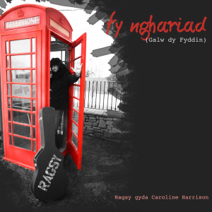 Album Fy Nghariad (Galw Dy Fyddin) [feat. gyda Caroline Harrison] from Ragsy