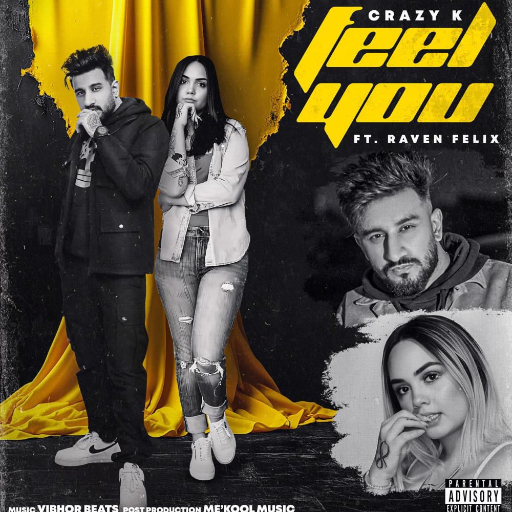 Feel You (feat. Raven Felix) (Explicit)