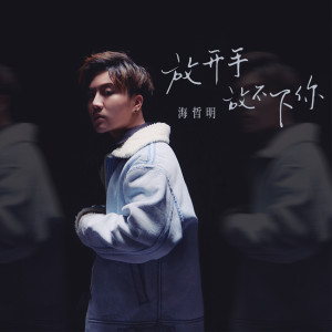 Listen to 放开手放不下你 song with lyrics from 海哲明