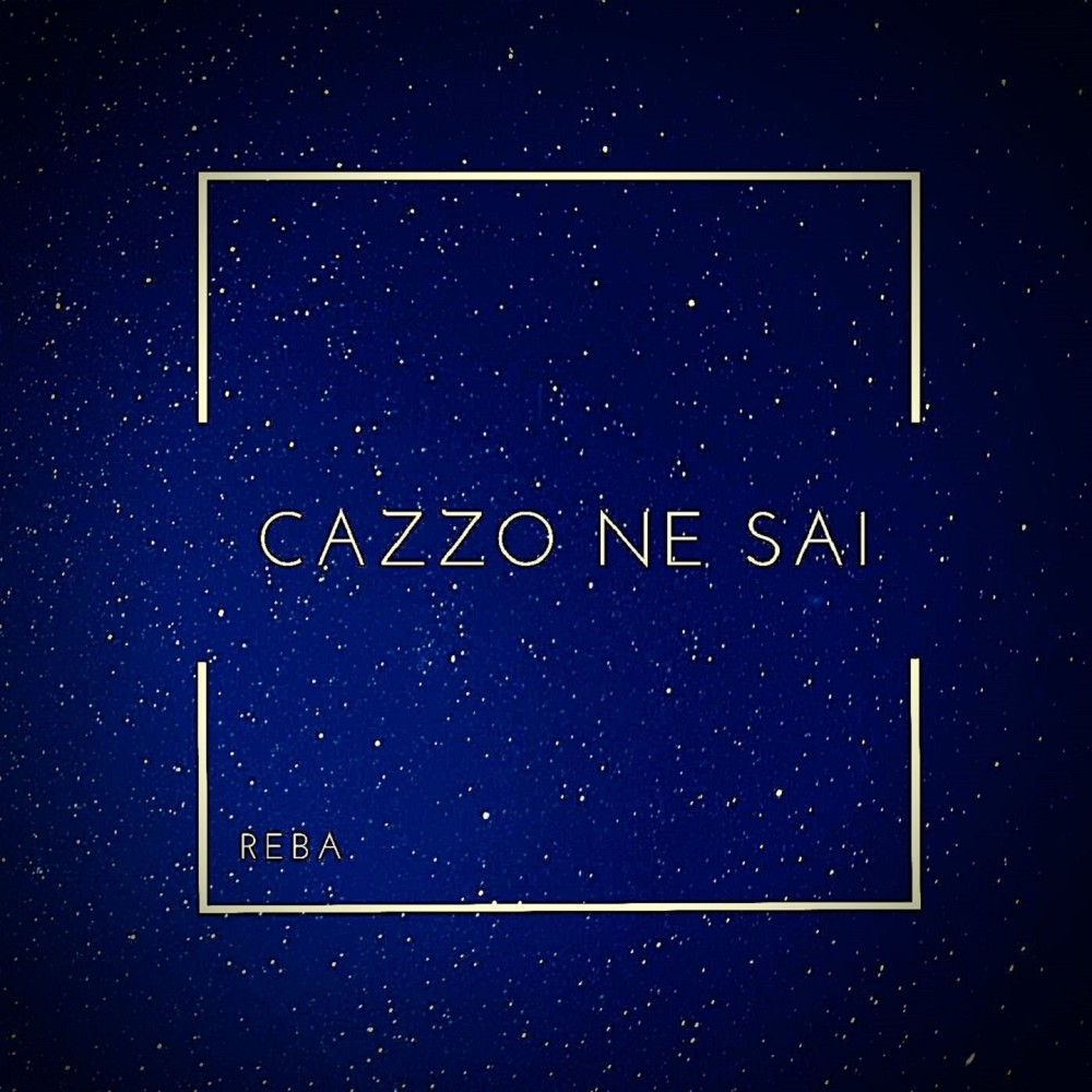 Cazzo Ne Sai (Explicit)