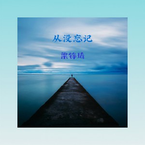 Listen to 从没忘记 (完整版) song with lyrics from 梁铮琦