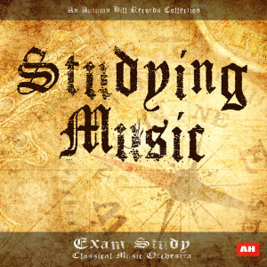 ดาวน์โหลดและฟังเพลง Adagio Hope พร้อมเนื้อเพลงจาก Exam Study Classical Music Orchestra