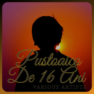 Album Pustoaico De 16 Ani oleh Brandy