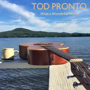 Dengarkan What a Wonderful World lagu dari Tod Pronto dengan lirik