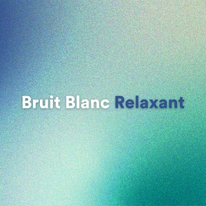 Bruit Blanc的专辑Bruit Blanc Relaxant