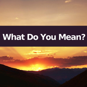 What Do You Mean的專輯What Do You Mean? (Instrumental Versions)