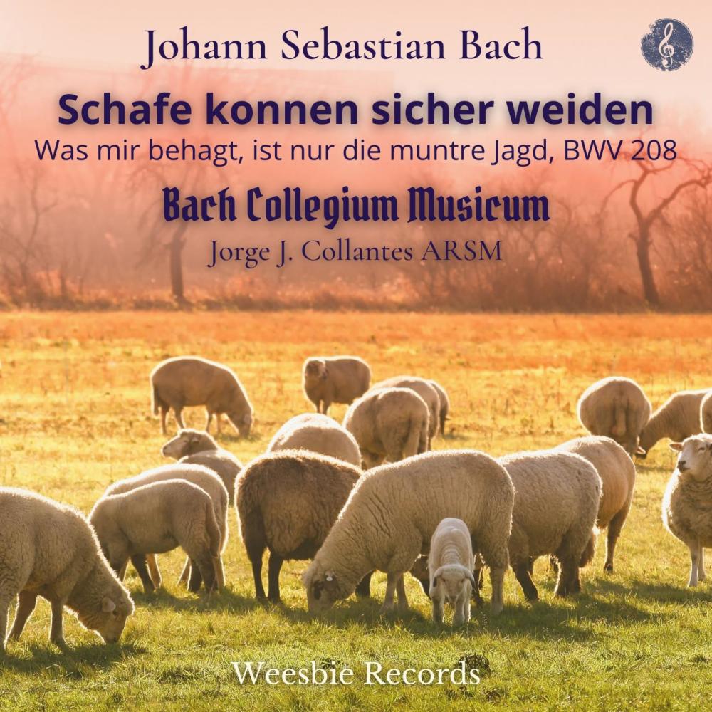 Schafe Konnen Sicher Weiden, BWV 208/9