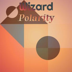 Various Artists的專輯Wizard Polarity