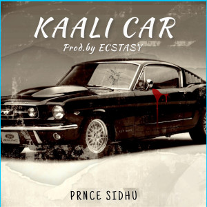 Listen to Kaali Car song with lyrics from PRNCE SIDHU