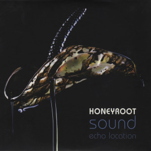 Listen to Summer Sky song with lyrics from Honeyroot