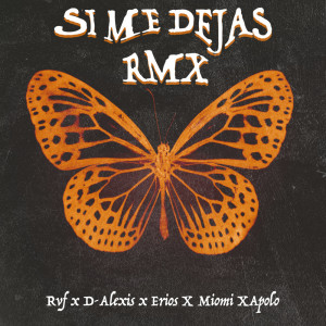收听Rvf的si me dejas <3 [feat. Erios & Miomi] (Remix|Explicit)歌词歌曲