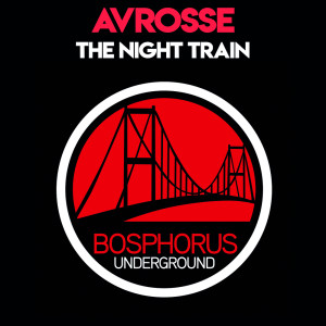 Listen to The Night Train (Prosdo's Off The Rails Remix) song with lyrics from Avrosse