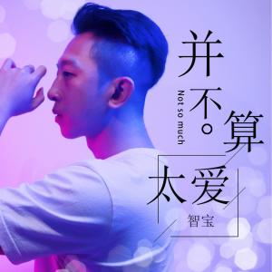 Listen to 并不算太爱 song with lyrics from 智宝