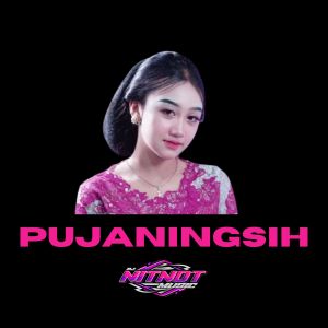 Dj NitNot的专辑Pujaningsih