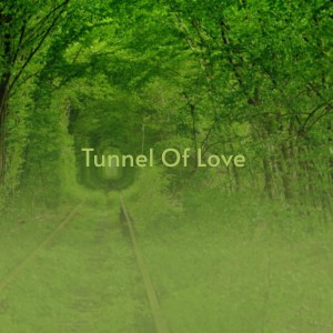收聽Doris Day的Tunnel of Love歌詞歌曲