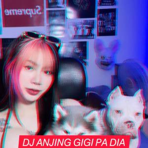 DJ ANJING GIGI PA DIA