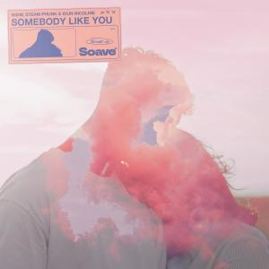 ดาวน์โหลดและฟังเพลง Somebody Like You พร้อมเนื้อเพลงจาก NIOW