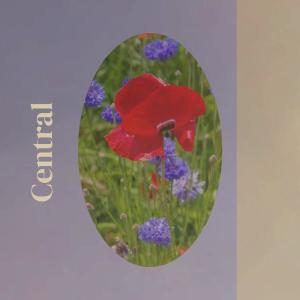 Listen to Vanishing song with lyrics from Haruno Fade