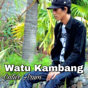 收聽Catur Arum的Watu Kambang歌詞歌曲