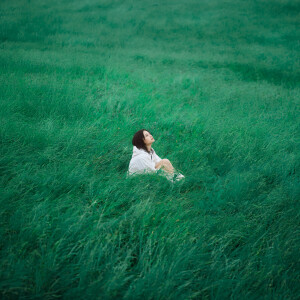 收聽Amy Lo的綠縈歌詞歌曲