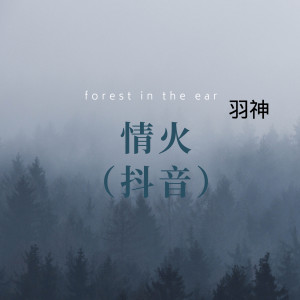 Album 情火 (抖音热播版) oleh 羽神