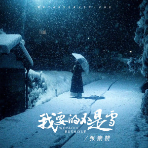 收聽張崇贊的我要的不是雪歌詞歌曲