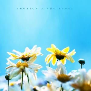 Listen to To you, dazzling song with lyrics from Kelp
