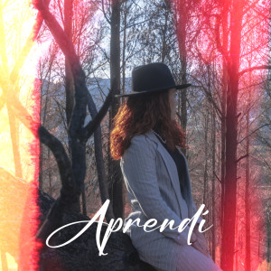 收聽MCKEA的Aprendí歌詞歌曲