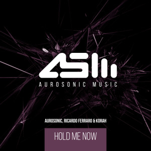 Dengarkan Hold Me Now (Extended Mix) lagu dari Aurosonic dengan lirik