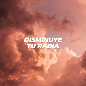 อัลบัม Disminuye tu rabia (Explicit) ศิลปิน Various