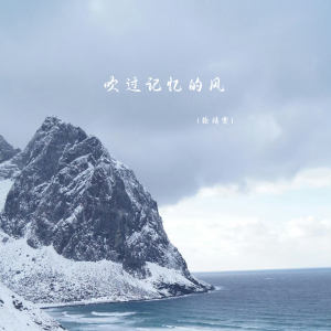 Listen to 吹过记忆的风 (伴奏) song with lyrics from 徐靖雯