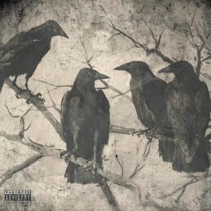 ดาวน์โหลดและฟังเพลง BIRDS (Explicit) พร้อมเนื้อเพลงจาก Exact