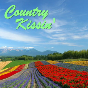 Listen to Little Rock Blues song with lyrics from Pearl Dickson