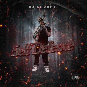 Album Self Defence (Explicit) from Dj Snoopy