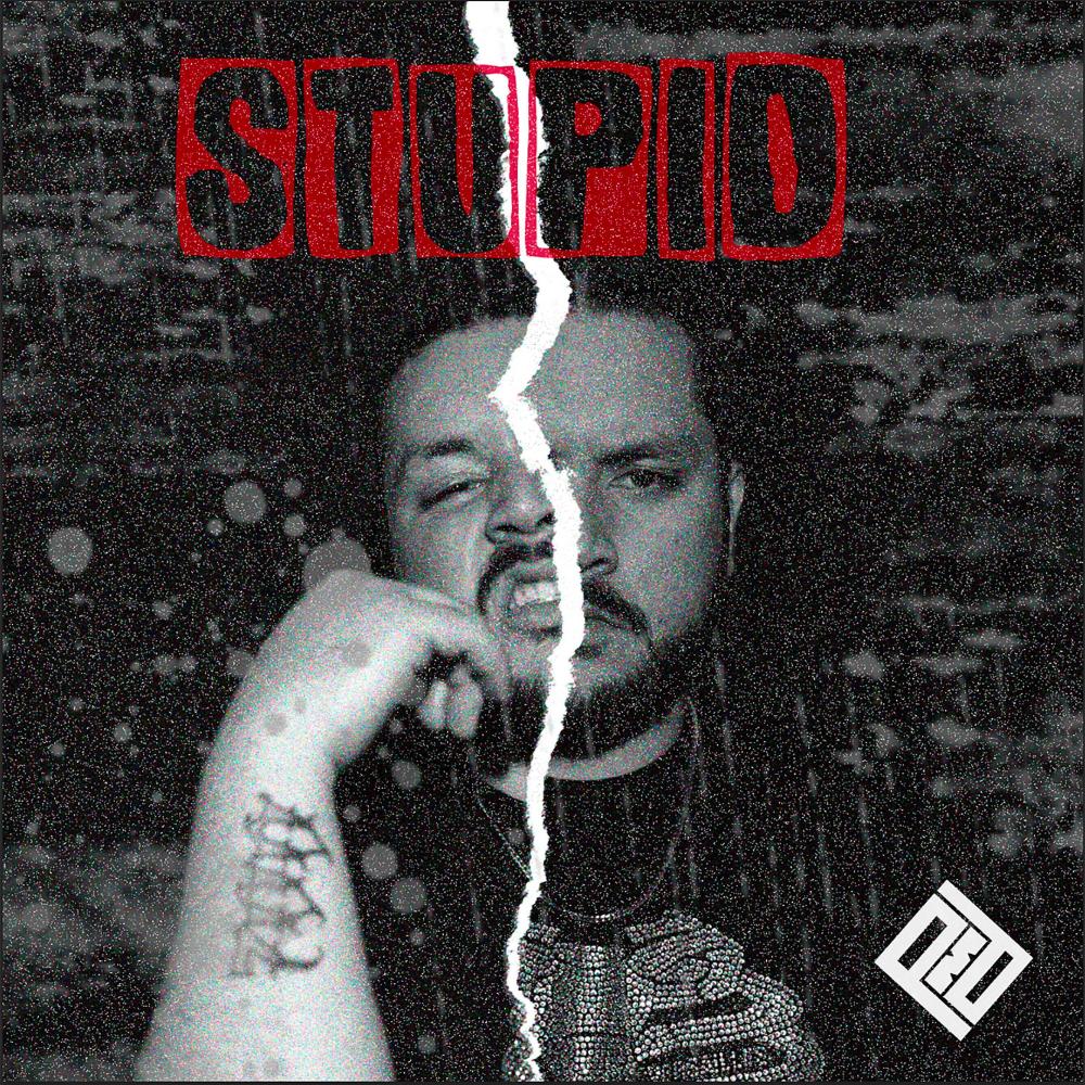 Stupid (feat. PMD) (Explicit)