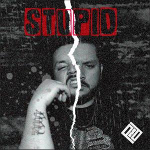 ดาวน์โหลดและฟังเพลง Stupid (feat. PMD) (Explicit) พร้อมเนื้อเพลงจาก Callouz