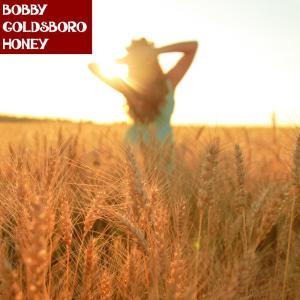 Bobby Goldsboro的專輯Honey (Live)