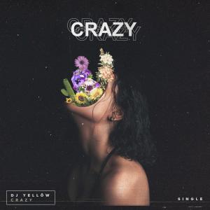 收聽DJ Yellow的Crazy歌詞歌曲