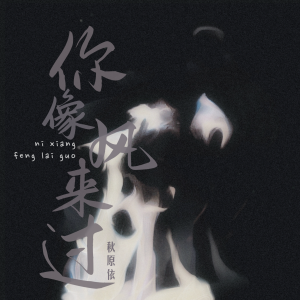 Listen to 你像风来过 (伴奏) song with lyrics from 秋原依