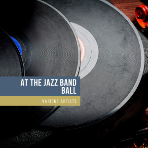 ดาวน์โหลดและฟังเพลง I'm More Than Satisfied (Take 5) พร้อมเนื้อเพลงจาก Willard Robison and His Orchestra