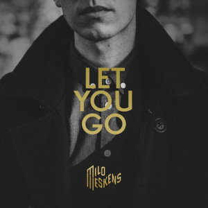 ดาวน์โหลดและฟังเพลง Let You Go พร้อมเนื้อเพลงจาก Milo Meskens