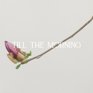 Listen to Till the Morning (Acoustic) song with lyrics from The Keepers Co.