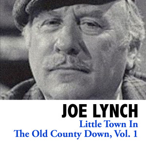 ดาวน์โหลดและฟังเพลง Old Bog Road พร้อมเนื้อเพลงจาก Joe Lynch