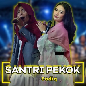 Santri Pekok dari Sodiq