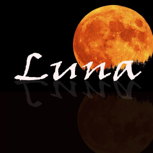 Various的專輯Luna