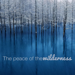 ดาวน์โหลดและฟังเพลง Woodland Life พร้อมเนื้อเพลงจาก Sound Library XL