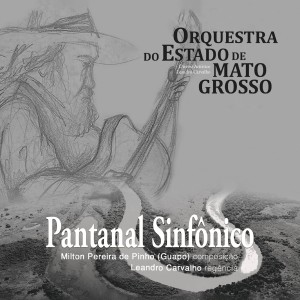 ดาวน์โหลดและฟังเพลง Sinfonia Nativa Rio Paraguai: IV. Movimento "Eterno Caminho Platino" พร้อมเนื้อเพลงจาก Orquestra Do Estado De Mato Grosso