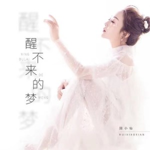 收聽回小仙的醒不來的夢 (DJ沈念版)歌詞歌曲